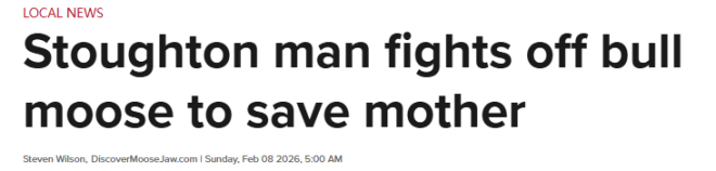 加拿大"猛男"为救母亲: 用拳头, 铁锹, 子弹干倒一头发疯的麋鹿!