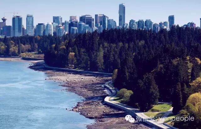 假如我在温哥华遇见你......读一遍心都化了