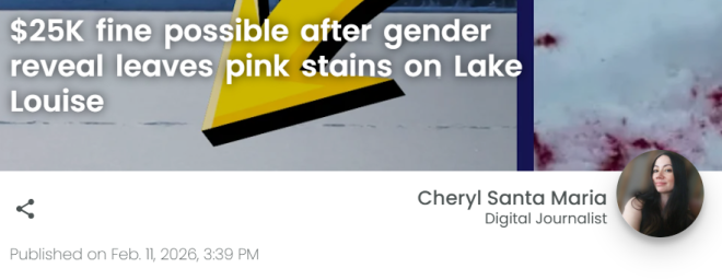 "一片狼藉"! 加拿大"国宝"景点被糟蹋成这样 游客心痛清理1小时