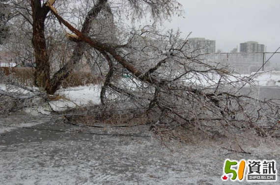 2026年加拿大房屋保险公司为什么都纷纷涨价？原因在这里