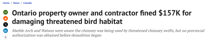 动了鸟窝, 被罚$15.7万! 安省屋主和建筑承包商均被判有罪!
