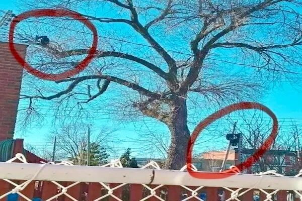 受前租客委托监视华人房产，说没拿人钱，法官：我信你个鬼！