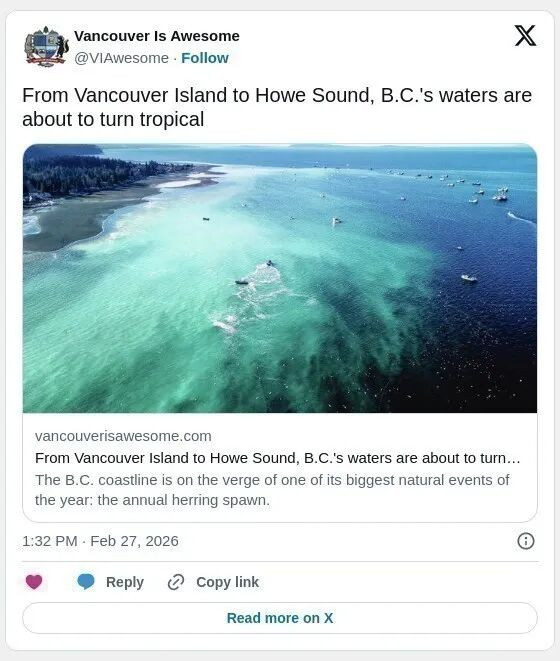 惊艳太空！BC省海水变"热带蓝"，这场自然盛事太美了