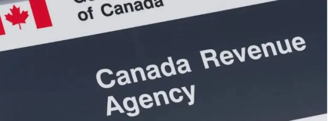 报税神器AI走红？用错可能惹上大麻烦