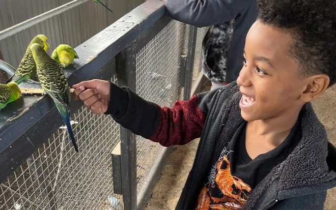 Lenox is smiling as he offers food to a company of parakeets