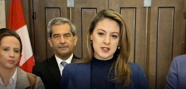 加拿大入室抢劫规则要变! 屋主可直接反击闯入者，律师支持