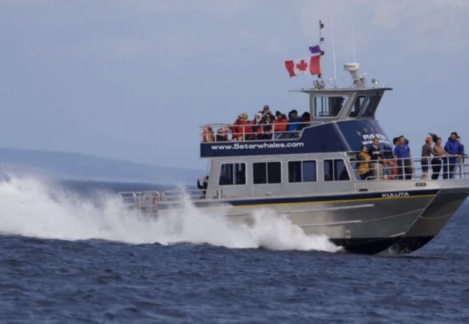 经营41年！维多利亚知名观鲸公司无奈停业！