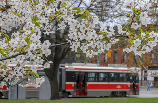加拿大遍地都是好心人和活雷锋：印度大哥一个举动让我感动