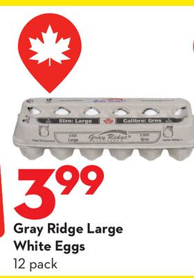 Gray Ridge 大号白鸡蛋 12 颗