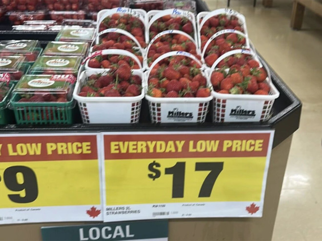 加拿大本地草莓一盒$17！涨疯了！
