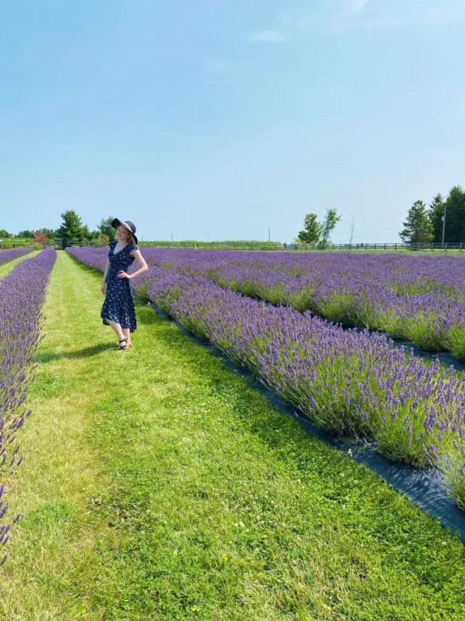 Hereward Farms - Exploring the Best of Toronto, Southern Ontario & Beyond