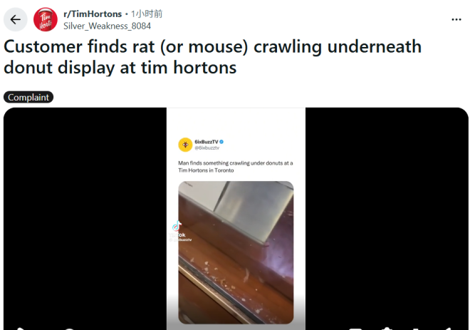Tim Hortons甜甜圈柜下现老鼠！网友热议：中国、韩国没这种事