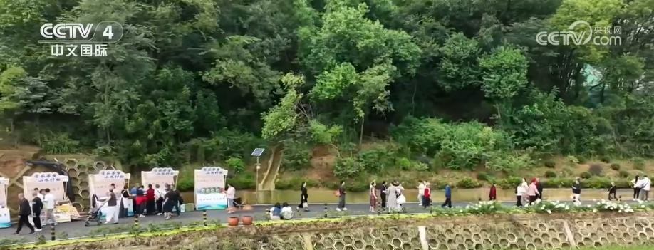 两会我关心 | “钱袋子”鼓、“生活品质”升 发展温度百姓触手可及