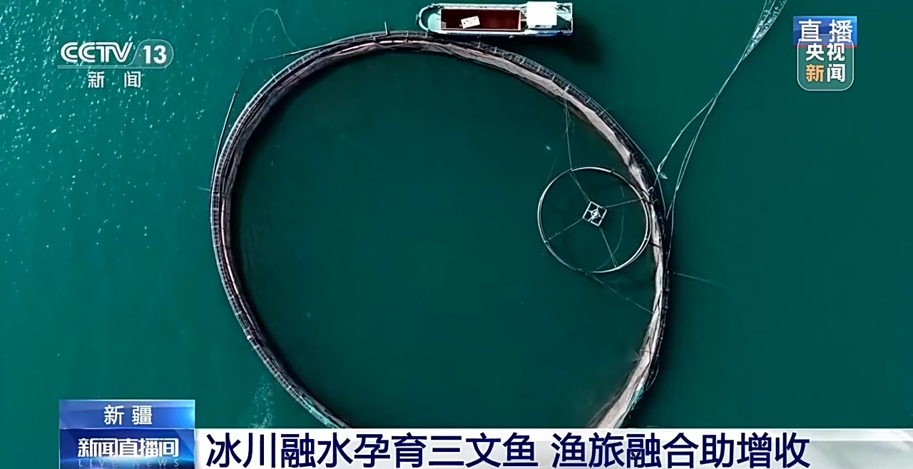 解锁特色旅游IP 远离大海的新疆小城“游”出三文鱼