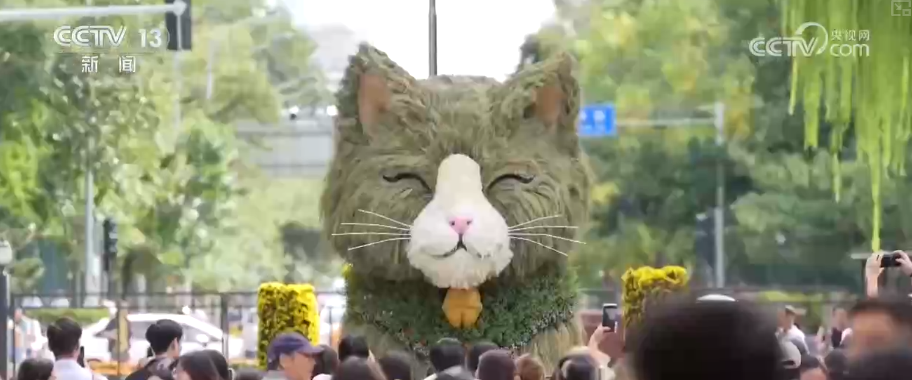 景观街巷“含猫量”高 萌猫IP聚来客把短期热度转化为长期效益