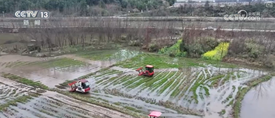 春回大地农事忙 特色育苗“奏响”春耕序曲
