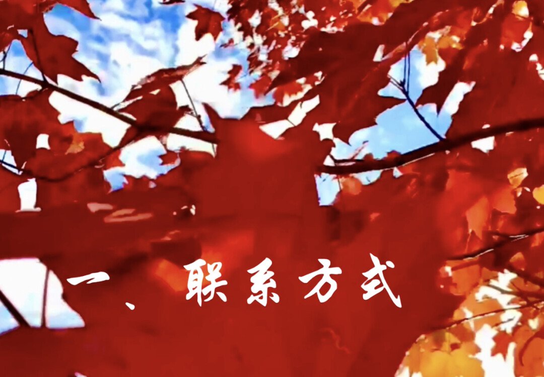 名医精治 咳嗽. 阳痿. 面瘫. 湿疹. 妇科. 儿科. 痛症. 失眠