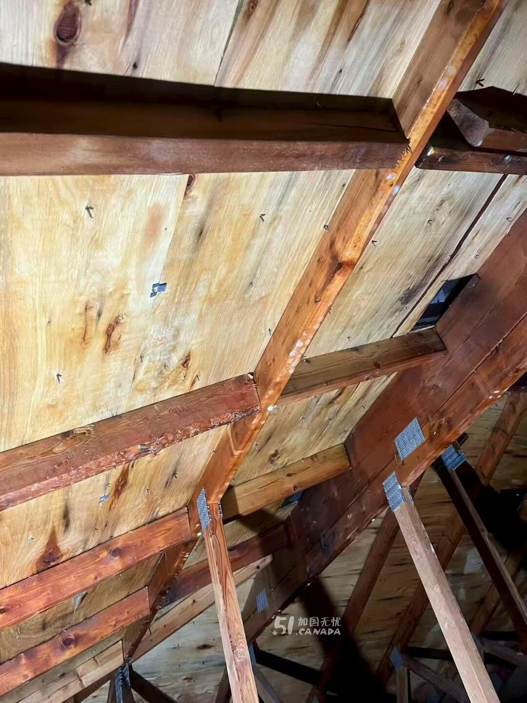 PureAir Mold Solutions