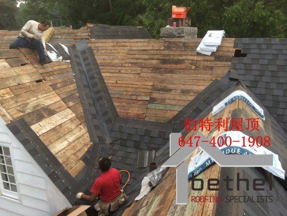 《伯特利屋顶》Bethel roofing