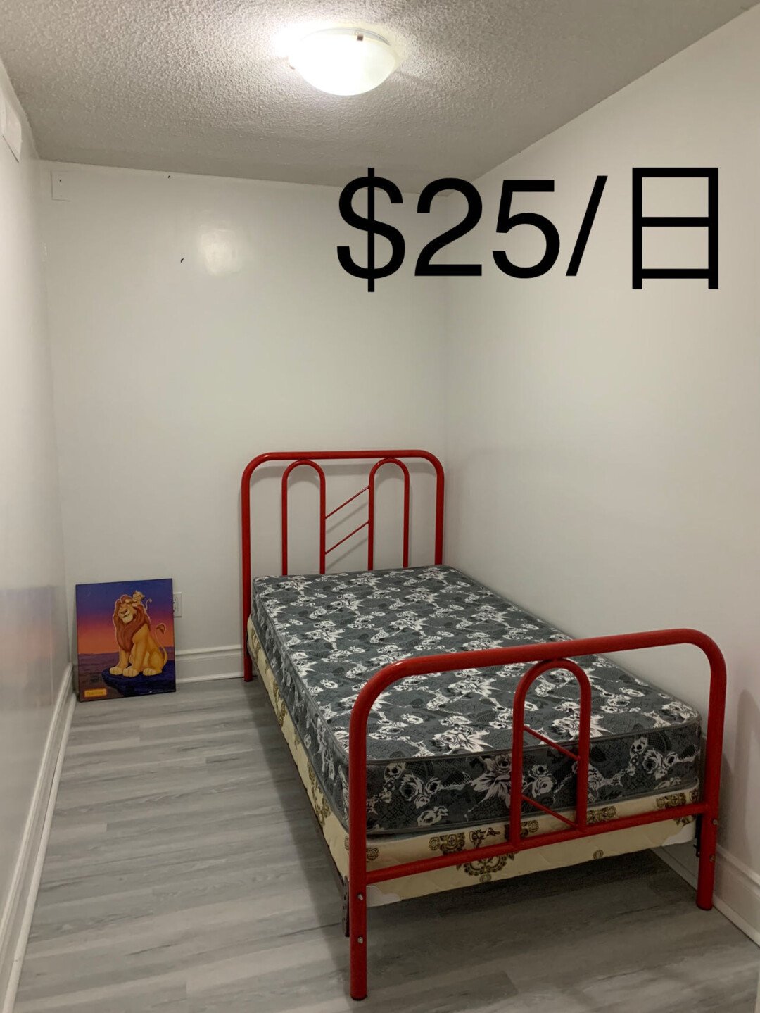 「日租25起」多伦多* 世嘉堡独立屋* 高速上网