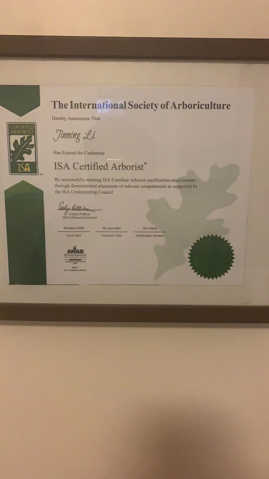 专业砍树，修树，除根，种树，ISA-Arborist ON国际树木师一多伦多树王