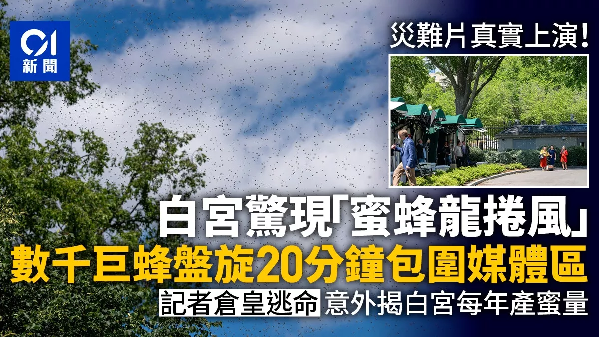 惊人！“蜜蜂龙卷风”袭白宫 记者仓皇逃命