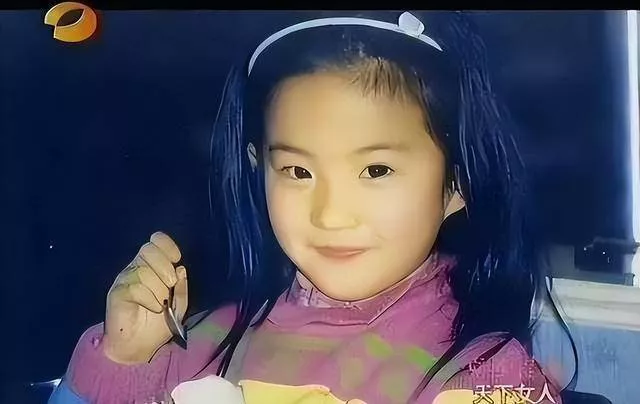 美国邻居出书爆料:刘亦菲妈妈纽约豪宅里的二婚生活