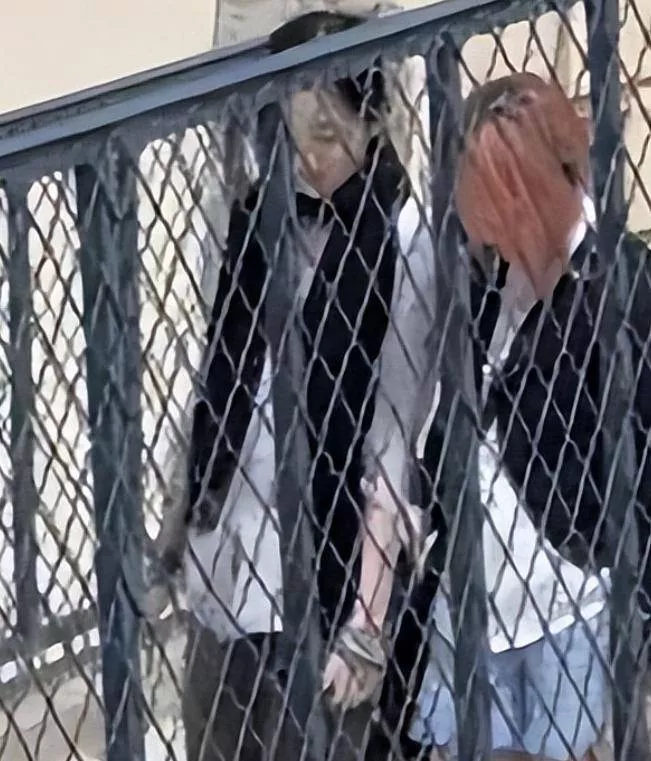 文章配图-6