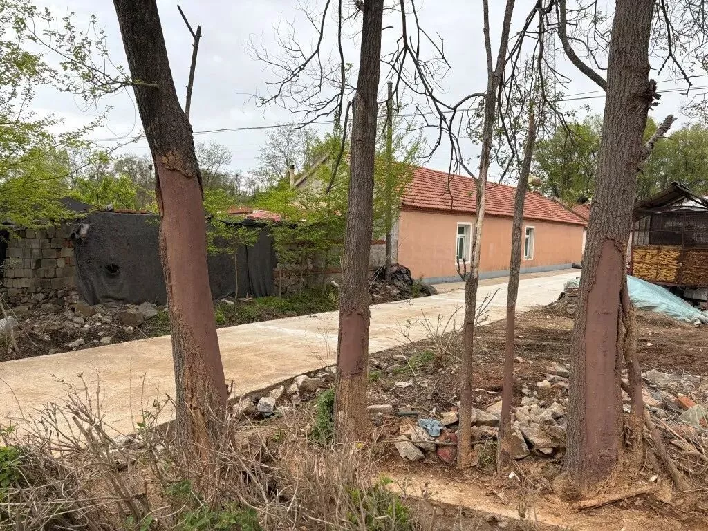 8名蓝莓采摘女工，殒命在超载黑车