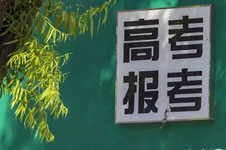 县城批量复制张雪峰，一单志愿几千元