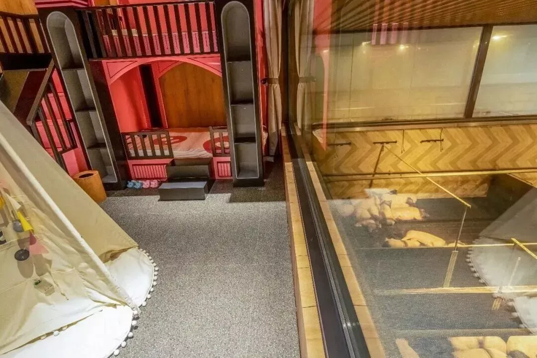 猪景房的设计灵感来自以往农村&ldquo;楼上住人、楼下养猪&rdquo;的格局